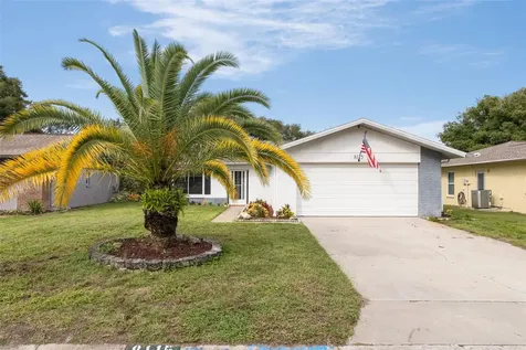 8115 San Bernardino Drive Port Richey FL 34668