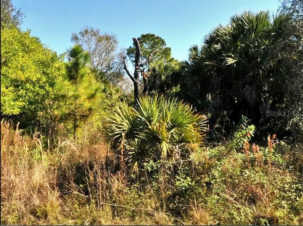 Fiveleaf Road North Port FL 34288