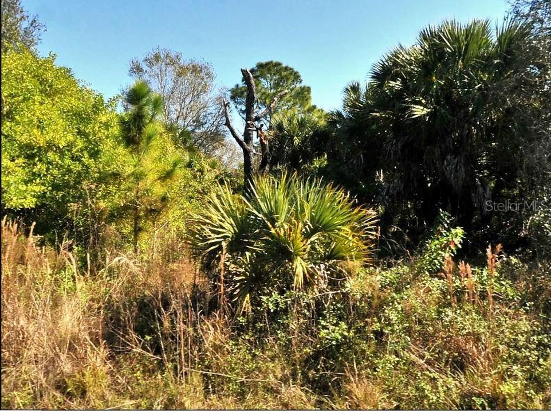 Fiveleaf Road North Port FL 34288