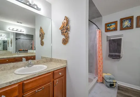 11110 Carrick Stone Street Wimauma FL 33598