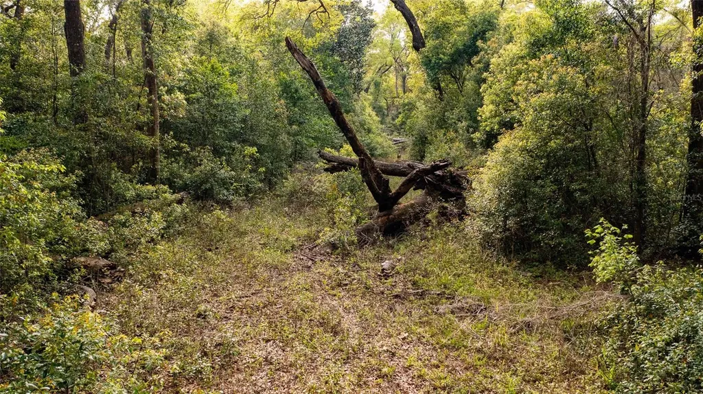 00 NW 177th Place High Springs FL 32643