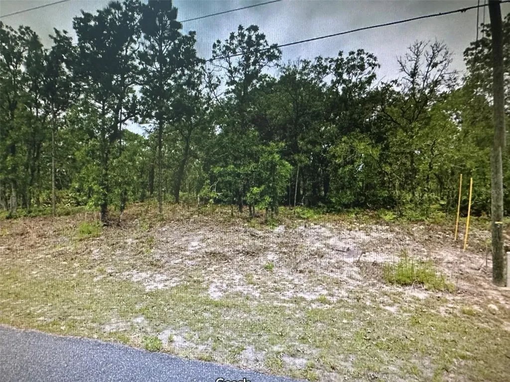 2466 W Swanson Drive Citrus Springs FL 34434