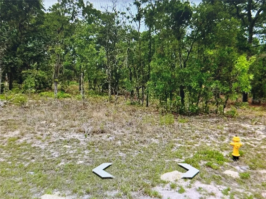 2466 W Swanson Drive Citrus Springs FL 34434