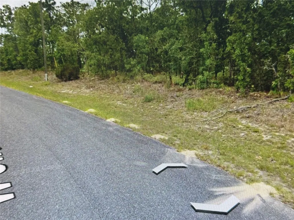 2466 W Swanson Drive Citrus Springs FL 34434