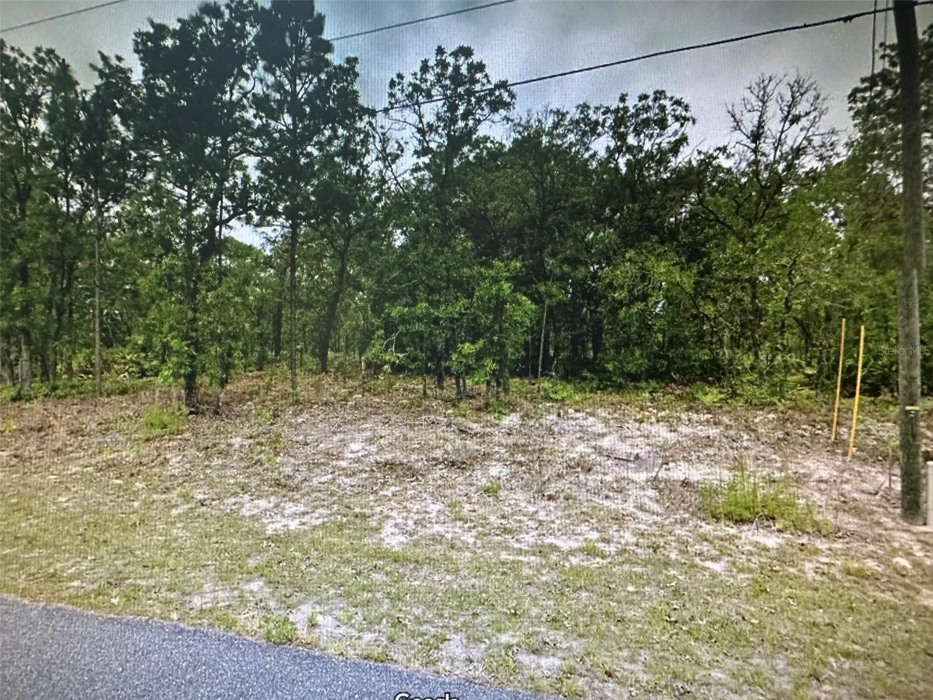 2466 W Swanson Drive Citrus Springs FL 34434