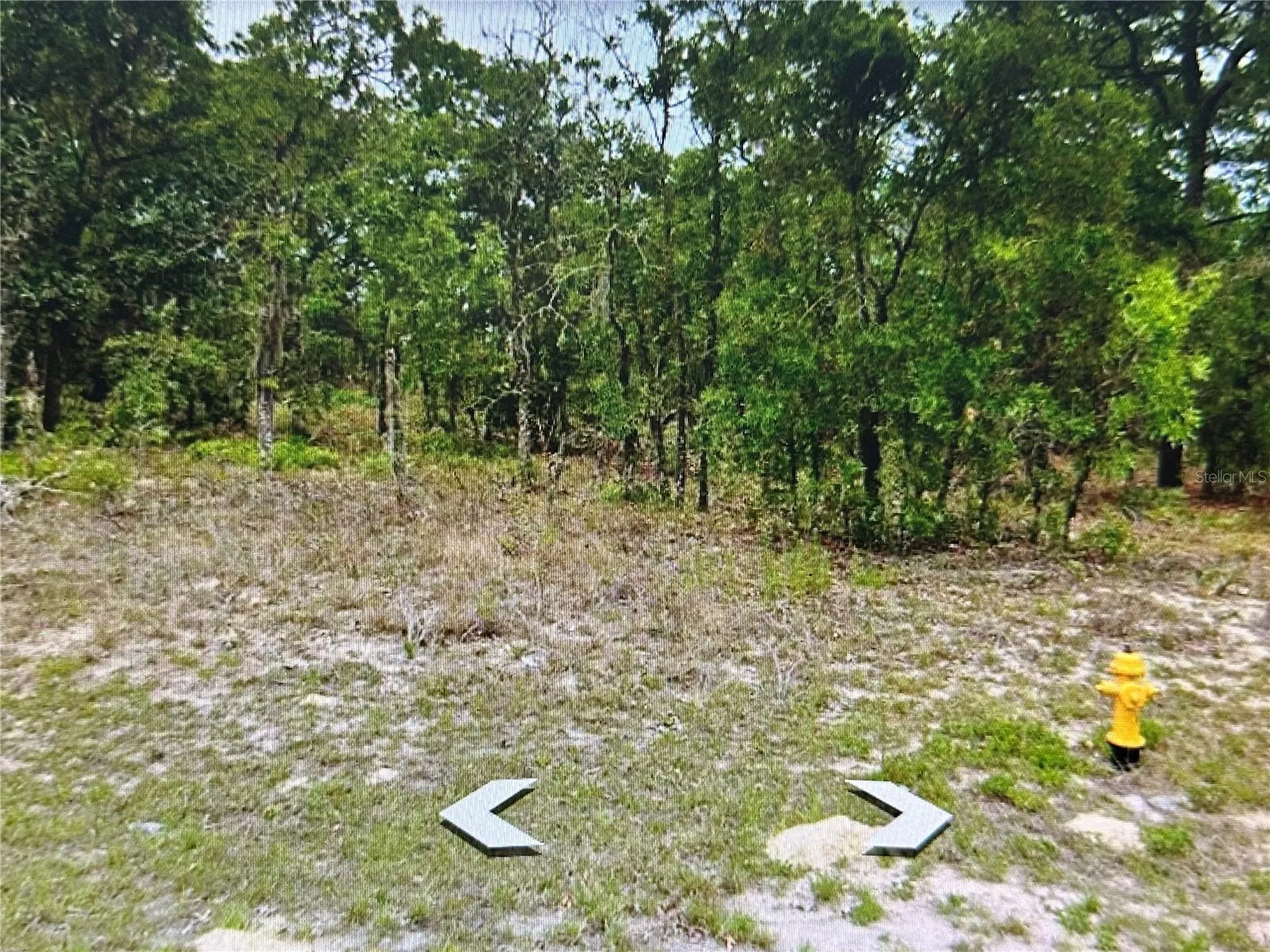 2466 W Swanson Drive Citrus Springs FL 34434