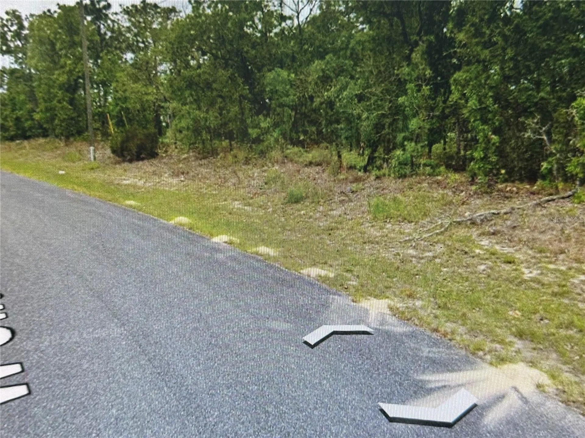 2466 W Swanson Drive Citrus Springs FL 34434