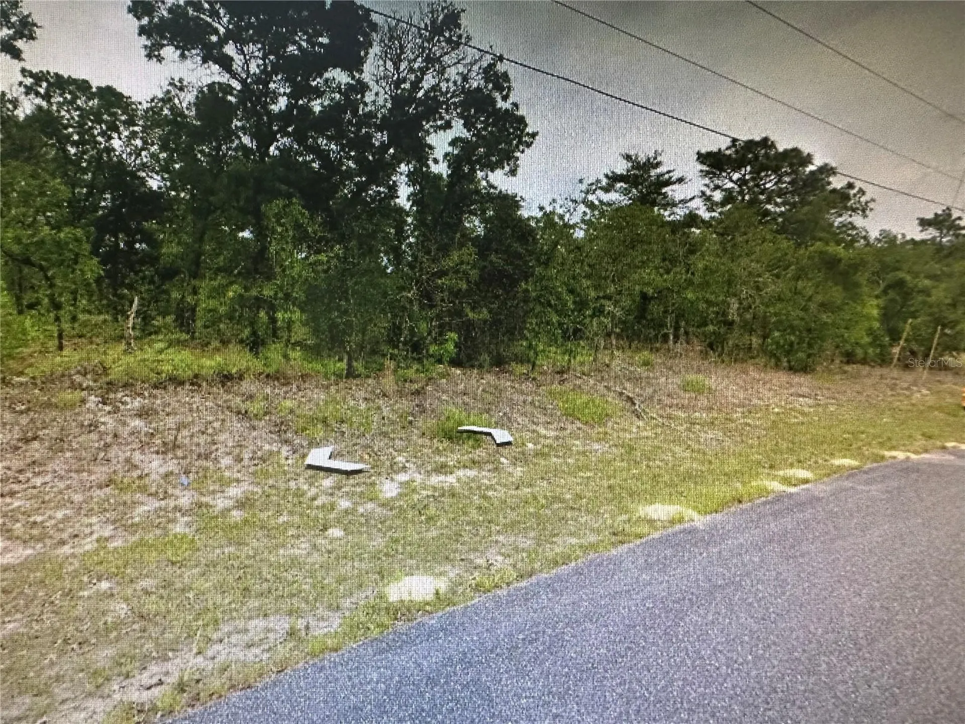 2466 W Swanson Drive Citrus Springs FL 34434