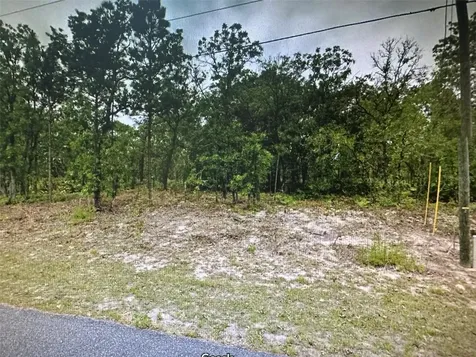 2466 W Swanson Drive Citrus Springs FL 34434