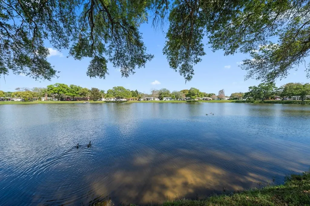 2712 Leslee Lake Drive N St Petersburg FL 33713