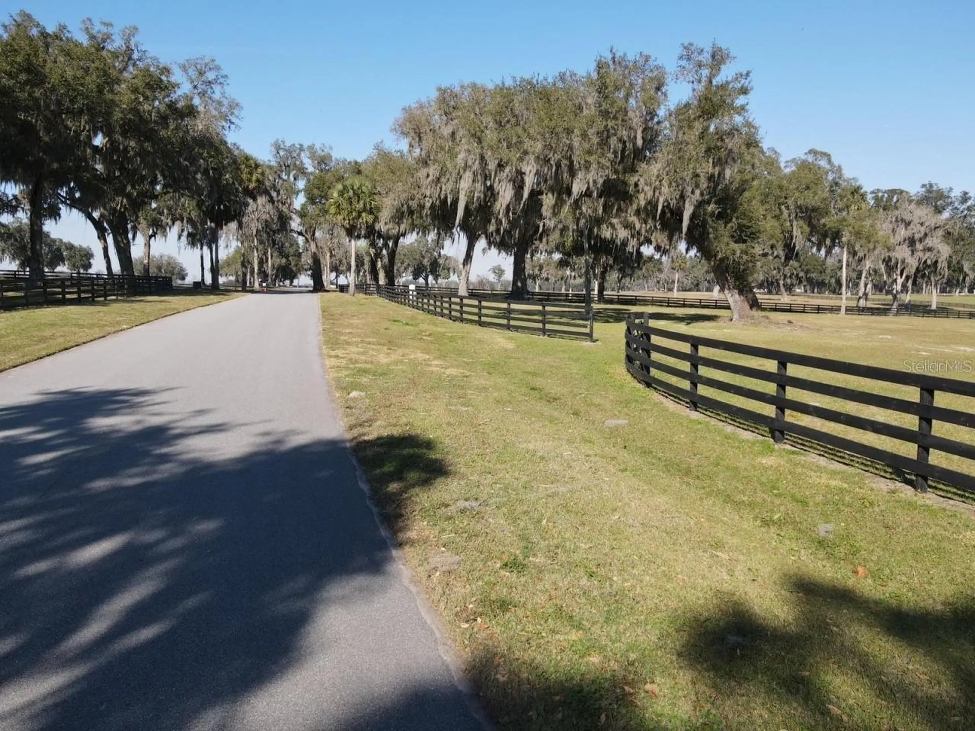 16070 SE 55 Avenue Road Summerfield FL 34491