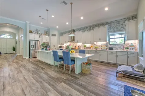 21591 Amelia Rose Way Land O Lakes FL 34637