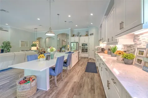 21591 Amelia Rose Way Land O Lakes FL 34637