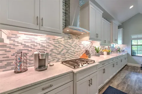 21591 Amelia Rose Way Land O Lakes FL 34637