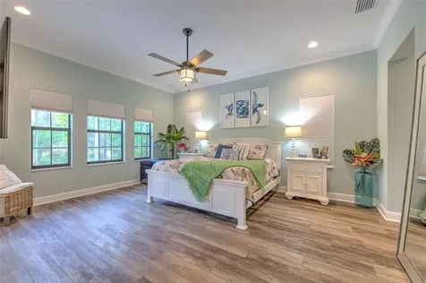 21591 Amelia Rose Way Land O Lakes FL 34637