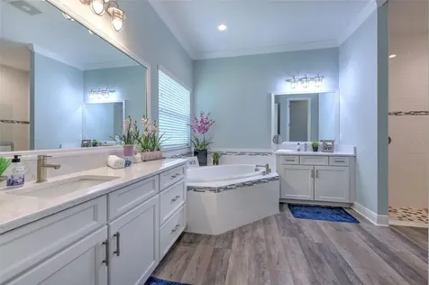 21591 Amelia Rose Way Land O Lakes FL 34637