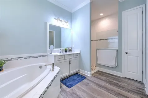 21591 Amelia Rose Way Land O Lakes FL 34637