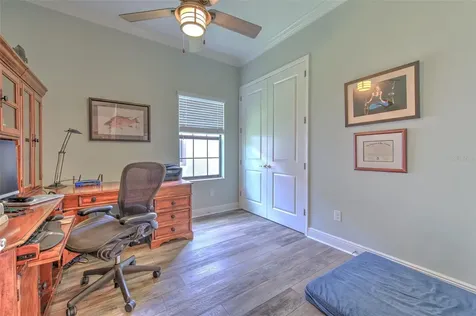 21591 Amelia Rose Way Land O Lakes FL 34637