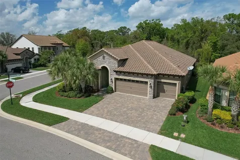 21591 Amelia Rose Way Land O Lakes FL 34637
