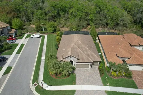 21591 Amelia Rose Way Land O Lakes FL 34637