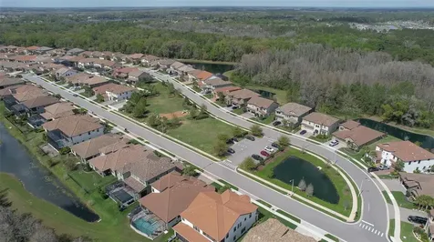 21591 Amelia Rose Way Land O Lakes FL 34637