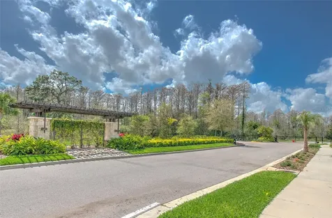 21591 Amelia Rose Way Land O Lakes FL 34637
