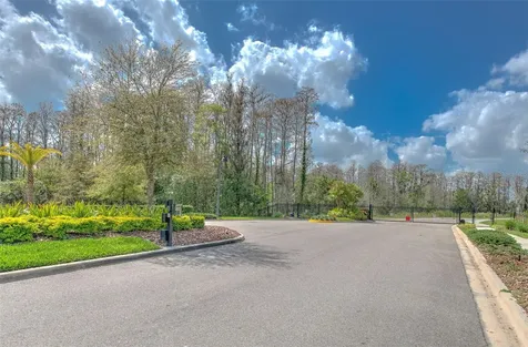 21591 Amelia Rose Way Land O Lakes FL 34637