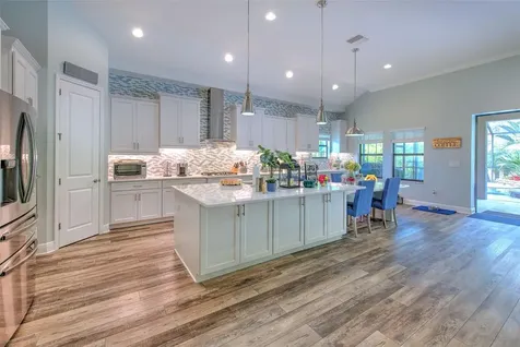 21591 Amelia Rose Way Land O Lakes FL 34637