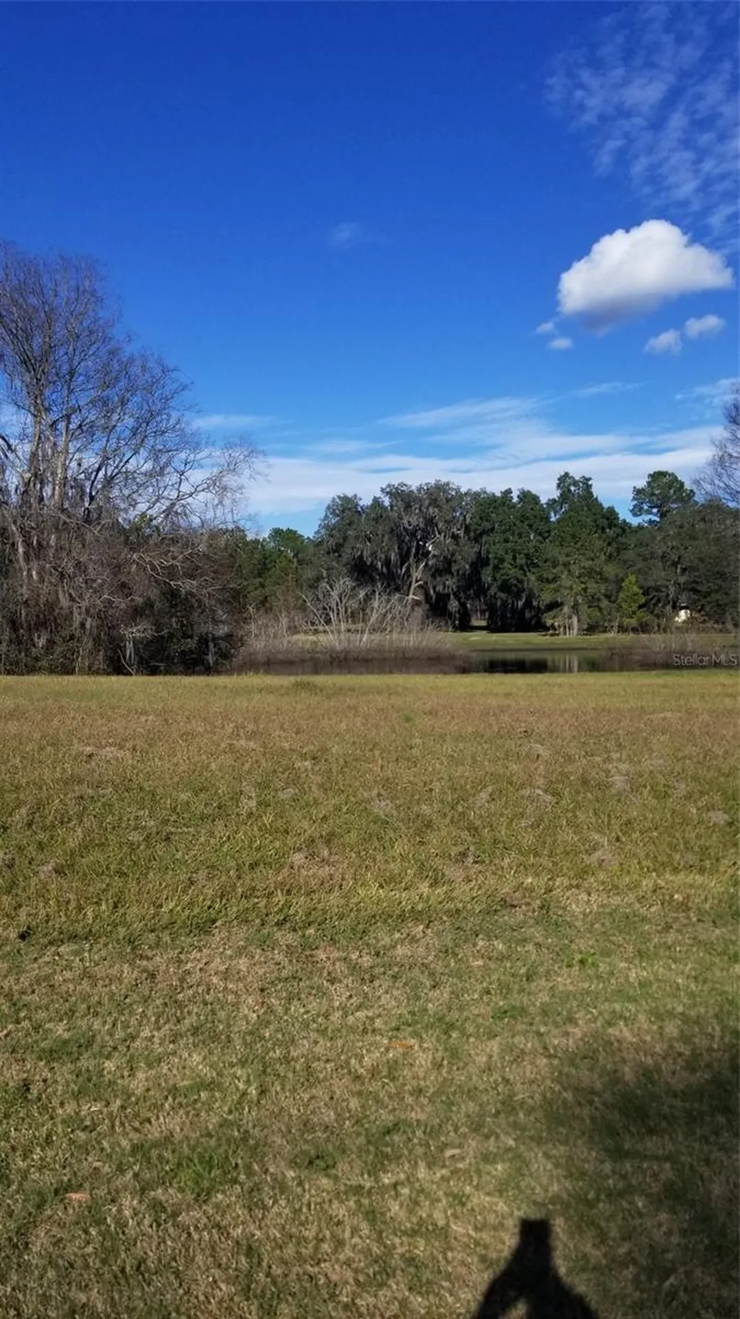 4145 SW 69th Avenue Gainesville FL 32608
