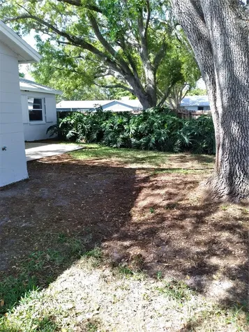 4913 Crockett Court Tampa FL 33625