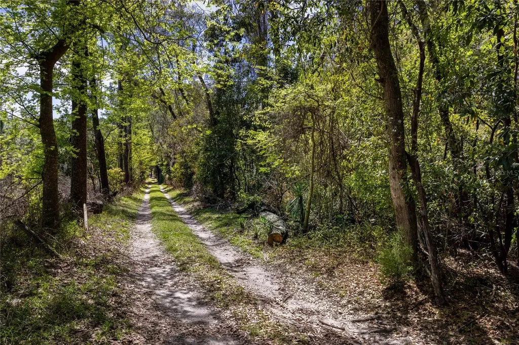 NW 253rd Street High Springs FL 32643