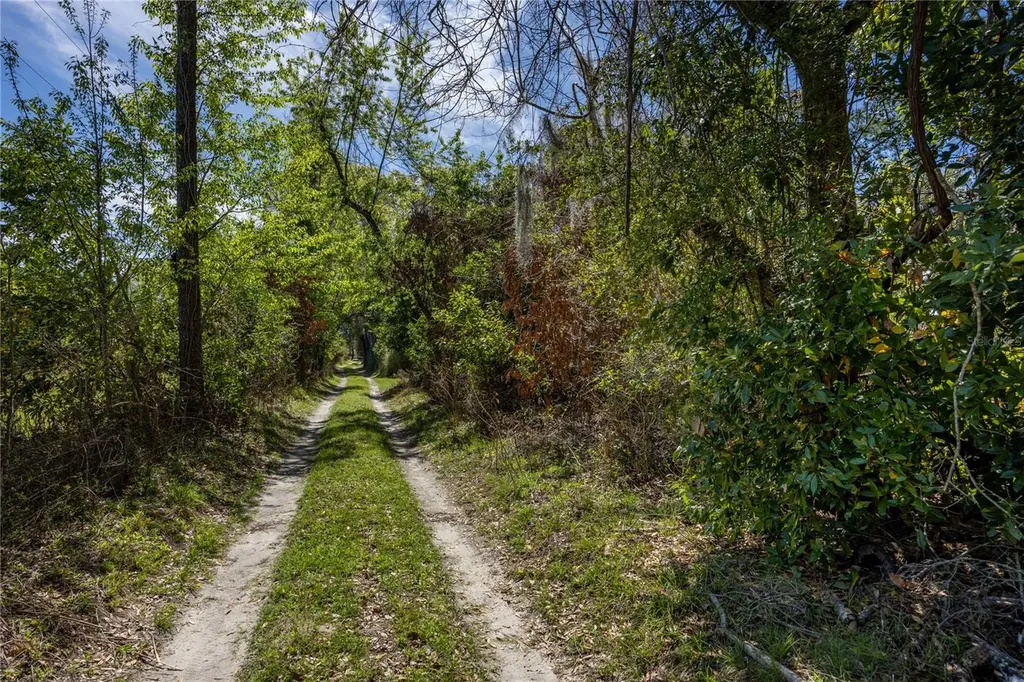 NW 253rd Street High Springs FL 32643