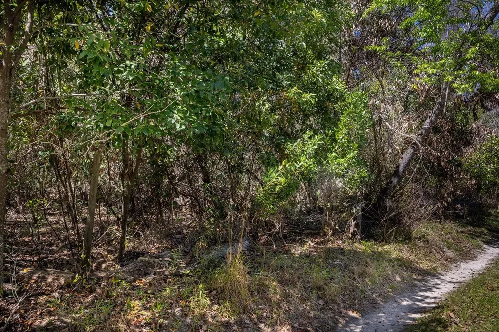 NW 253rd Street High Springs FL 32643