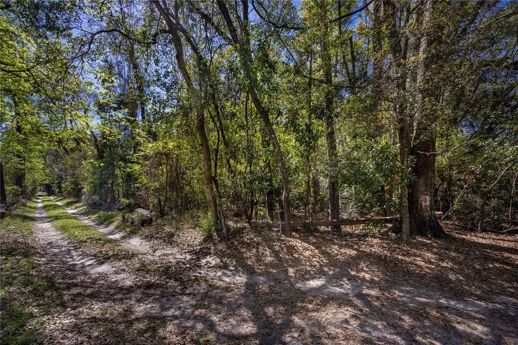 NW 253rd Street High Springs FL 32643