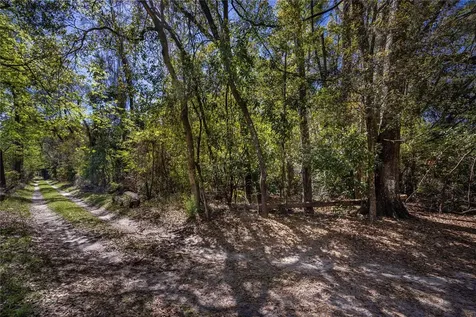NW 253rd Street High Springs FL 32643