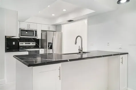 1051 Sylvia Lane Tampa FL 33613