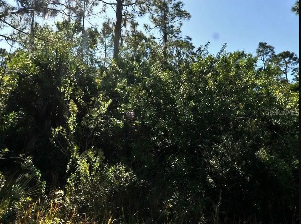 Pinklady Lane North Port FL 34288