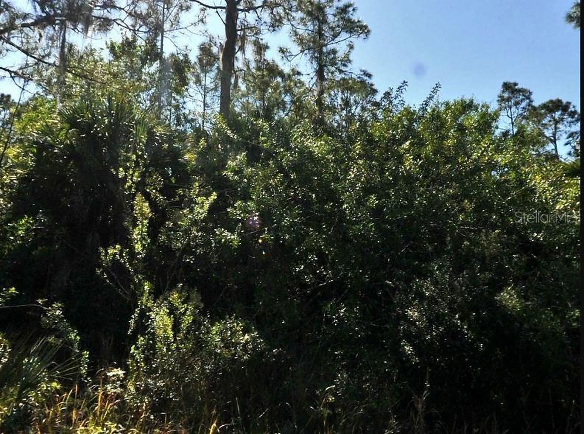Pinklady Lane North Port FL 34288