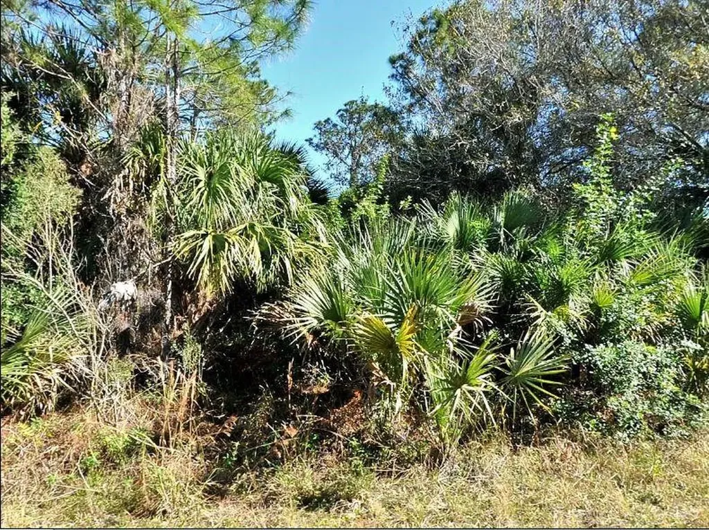 Annatto Street North Port FL 34288