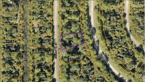 Annatto Street North Port FL 34288
