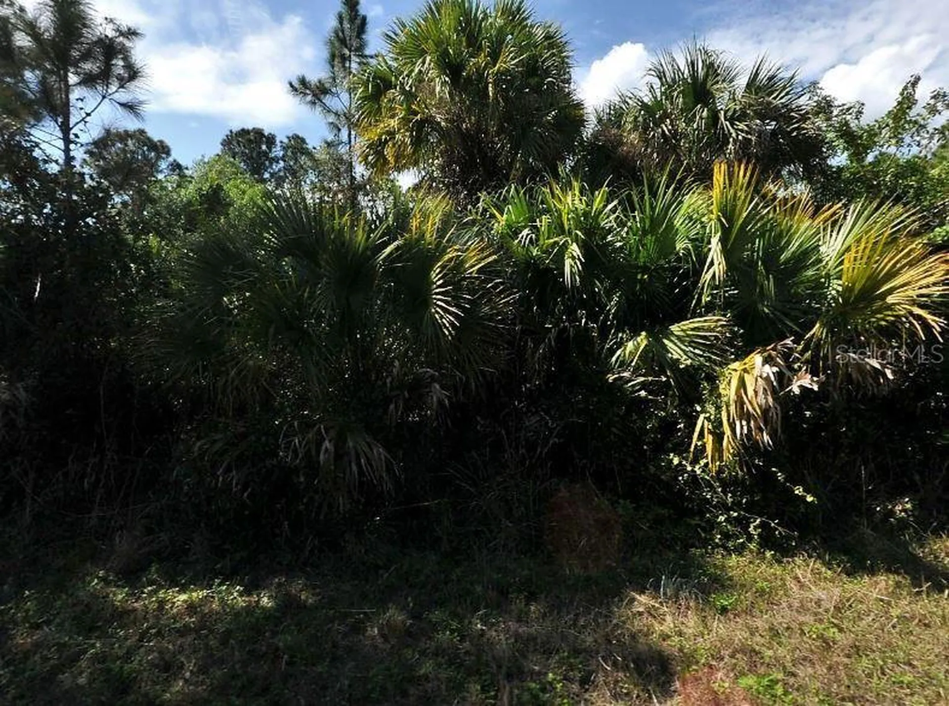 Button Street North Port FL 34288