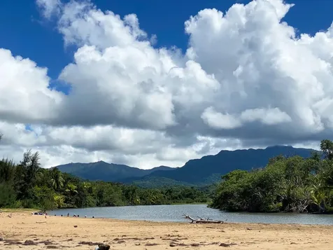 13 Mirador NE Rio Grande PR 00745