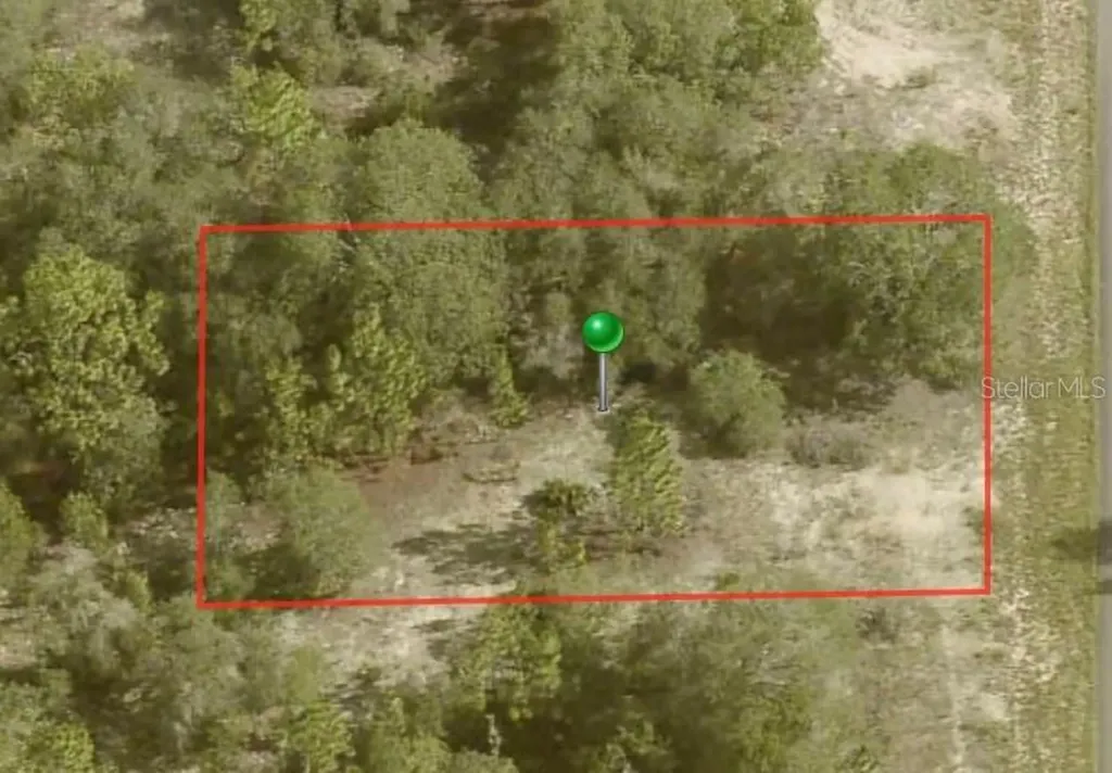 6706 N Tassel Terrace Citrus Springs FL 34433