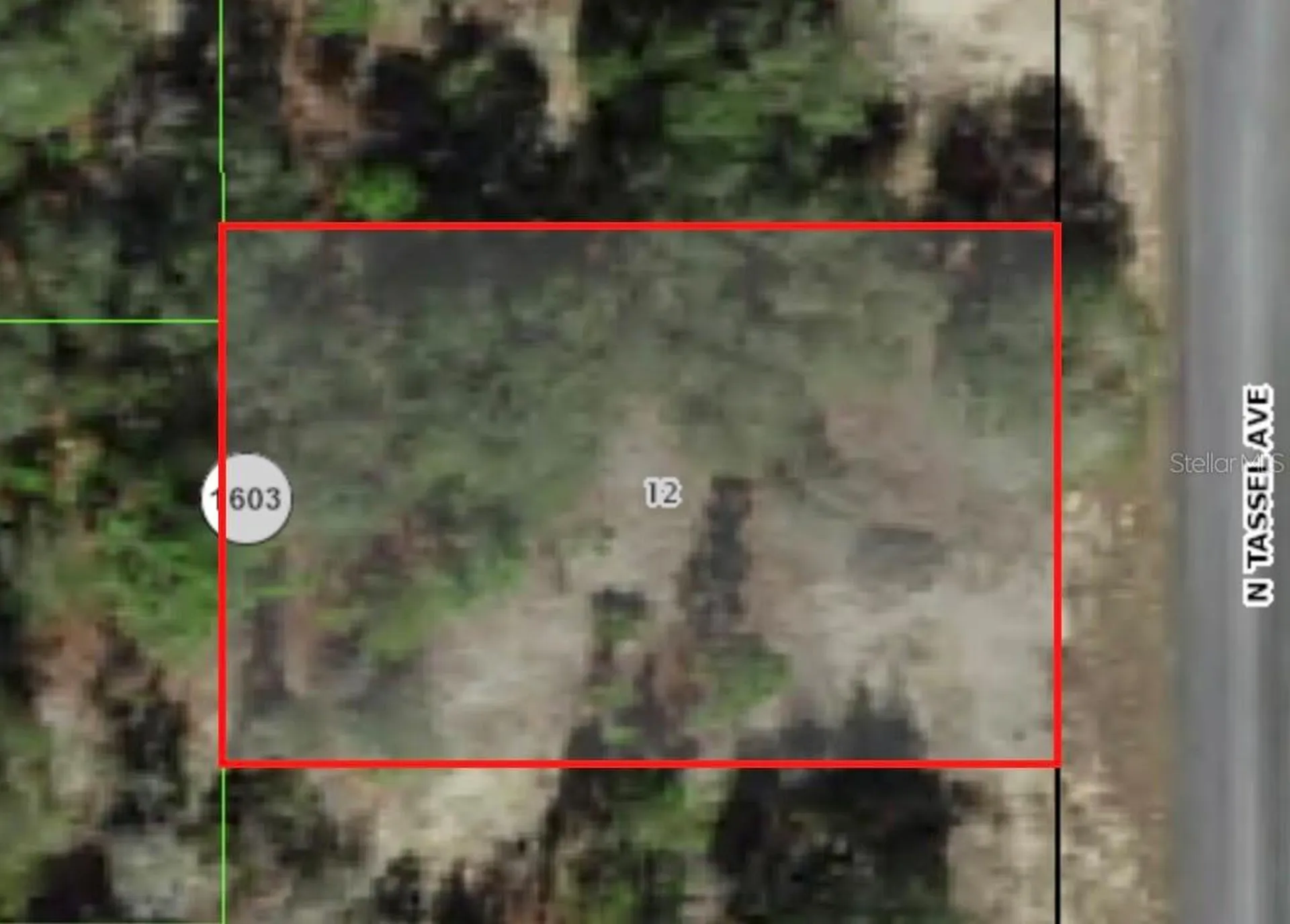 6706 N Tassel Terrace Citrus Springs FL 34433