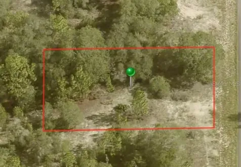 6706 N Tassel Terrace Citrus Springs FL 34433
