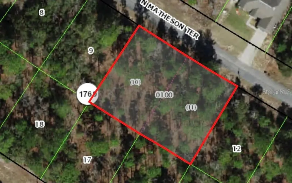 5644 N Matheson Drive Citrus Springs FL 34434