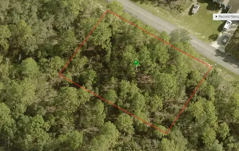 5644 N Matheson Drive Citrus Springs FL 34434