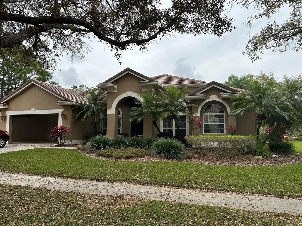 9113 Woodridge Run Drive Tampa FL 33647