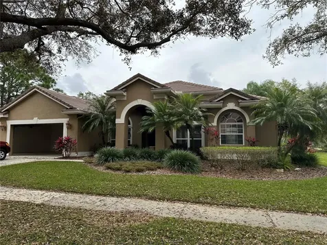 9113 Woodridge Run Drive Tampa FL 33647