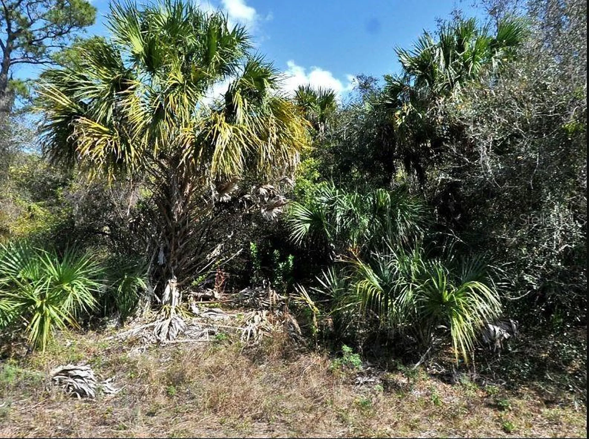 Norton Drive North Port FL 34288